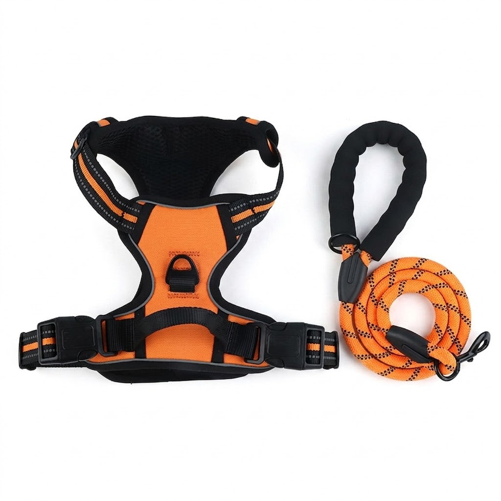 Heavy-Duty No-Pull Dog Harness with Padded Leash